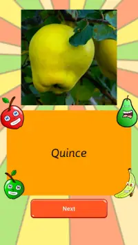 Fruits Word Search Screen Shot 6
