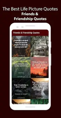 The Life Quotes Screen Shot 4