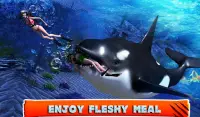 Killer Whale Beach Attack 3D Screen Shot 6