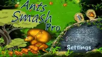 Ant Smash Pro Screen Shot 4