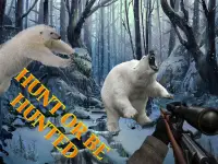 Bear Hunter 2017 Screen Shot 3