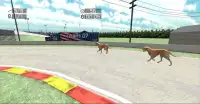 Dog Racing : Labrador Screen Shot 1