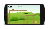 Wild Nuts - best squirrel game Screen Shot 2