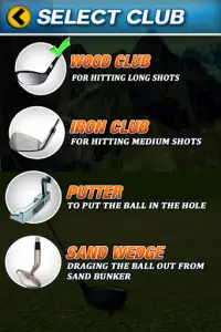 Vamos jogar golfe Screen Shot 2