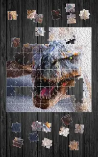 Dinosaurs Jigsaw Puzzle Screen Shot 6