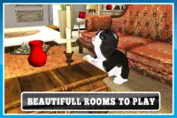 Crazy Kitty Cat Simulator 3D Screen Shot 5