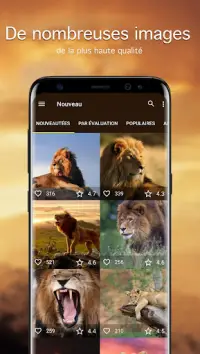 Lion Fonds d'écran 4K Screen Shot 0