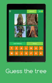 Guess the tree - Tree species identification quiz Screen Shot 9