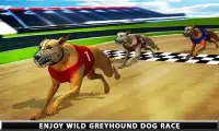 Wild Greyhound Dog Racing Screen Shot 0