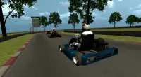 Go Kart Race 3D Screen Shot 0