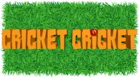 Cricket Cricket Screen Shot 0