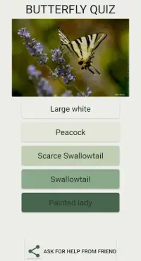 Quiz : What Butterfly Are You ? Screen Shot 1