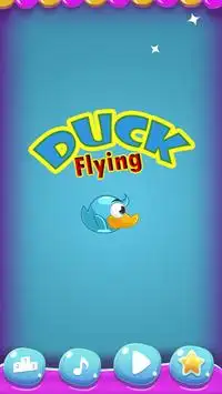 Flying Duck Screen Shot 0