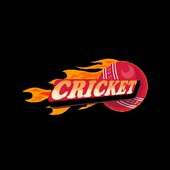 T20Cricket2016