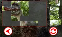 Dinozaury Puzzle Screen Shot 6
