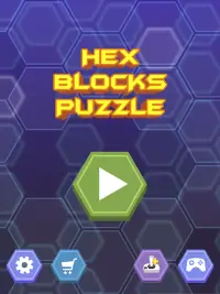 Hex Blocks Puzzle Screen Shot 12