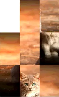 kitties Puzzle Screen Shot 4