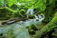 Incredible Nature Jigsaw Puzzle Screen Shot 3