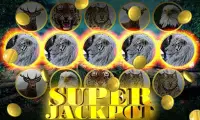 Wild Cat Slot: Real Jackpot &  Screen Shot 2