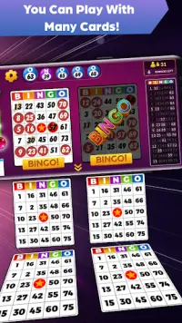 Bingo - Offline Bingo Game Screen Shot 5