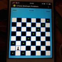 Chess Bishops Problem Screen Shot 1