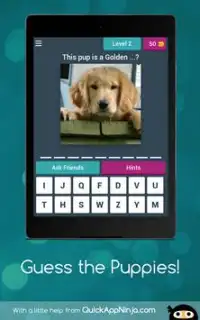 Guess the Puppies! Screen Shot 16