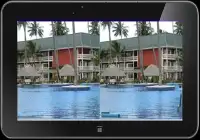 Spot the Difference Tropical Screen Shot 1