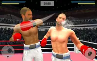 Punch Boxing  Mega Star 3D Screen Shot 11