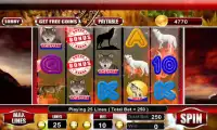 WIld Wolf Slot Casino Screen Shot 3