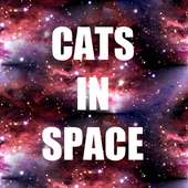 CATS IN SPACE