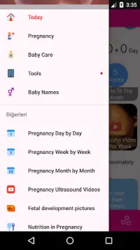 Pregnancy Day by Day Screen Shot 5