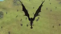 Flying Fury Dragon Simulator Screen Shot 2