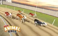 Pet Animals Race Screen Shot 1