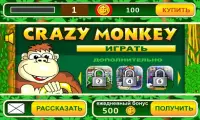 Crazy Monkey slot machine Screen Shot 0