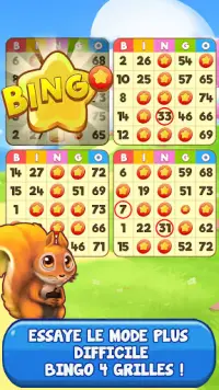 Bingo: Free the Pets Screen Shot 2