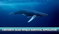 الحوت الأزرق مجنون الوحش 2 Screen Shot 1
