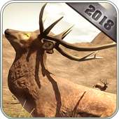 Deer hunt games 2019 - sniper hunting safari games