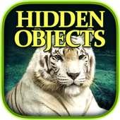 Hidden Objects: Animal Kingdom