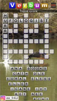 Verbum-Crossword multilanguage Screen Shot 3