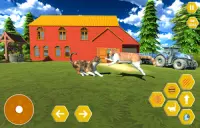 Stray Cat Life: Cat Simulator Screen Shot 1
