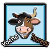 Vache Taureau