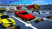 Gerçek araba Otopark usta 3D Screen Shot 2