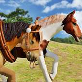 Horse Simulator Game 3D 2016