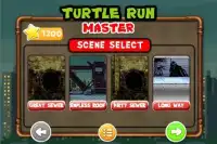 Turtle Run Master Screen Shot 6