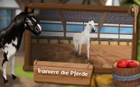 HorseHotel Premium - Pferdespiel für Pferdefreunde Screen Shot 12