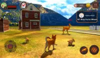 Akita Dog Simulator Screen Shot 13
