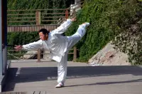 Learn Kung Fu Training 2020 Screen Shot 5