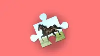 Teka Teki Jigsaw - Kuda Permainan untuk Perempuan Screen Shot 0