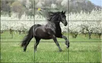 Puzzle - Beautiful Horses Screen Shot 6