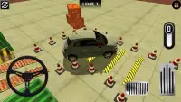 Nepal Driving : Licence Car Exam Game 3D Screen Shot 2